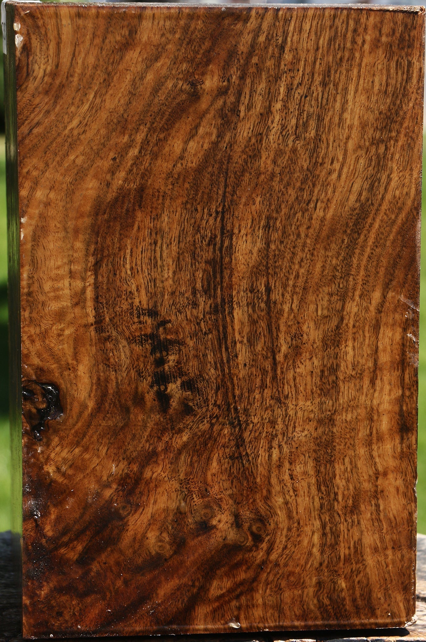 Extra Fancy Claro Walnut Vessel Blank