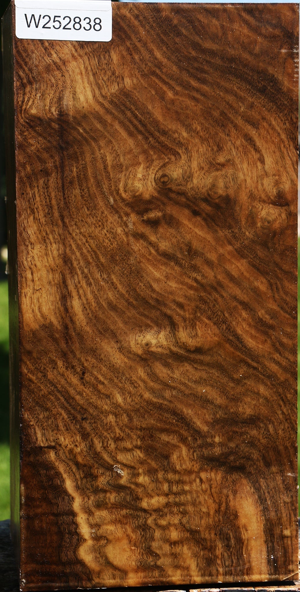 Extra Fancy Claro Walnut Vessel Blank