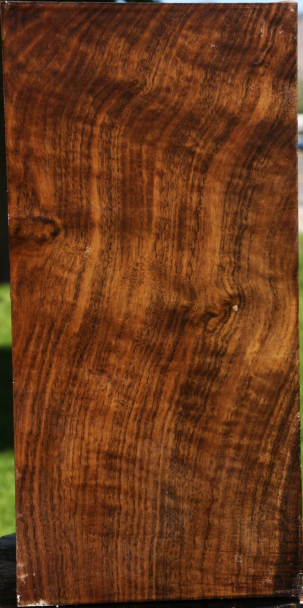 Extra Fancy Claro Walnut Vessel Blank