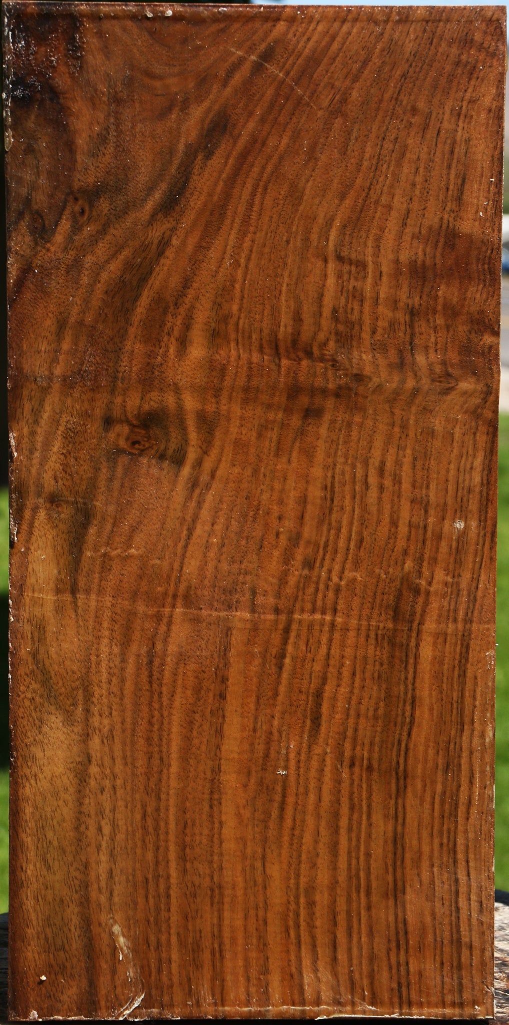 Extra Fancy Claro Walnut Vessel Blank