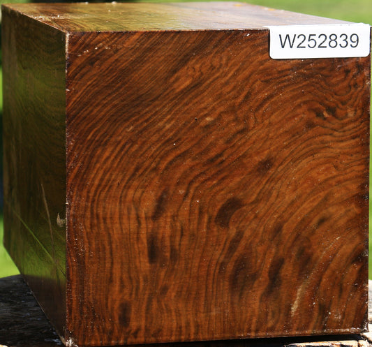 Figured Claro Walnut Vessel Blank