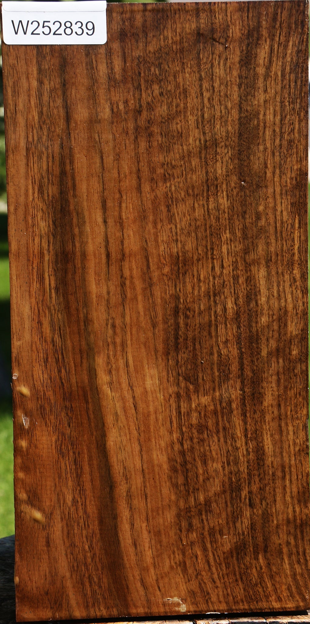 Figured Claro Walnut Vessel Blank