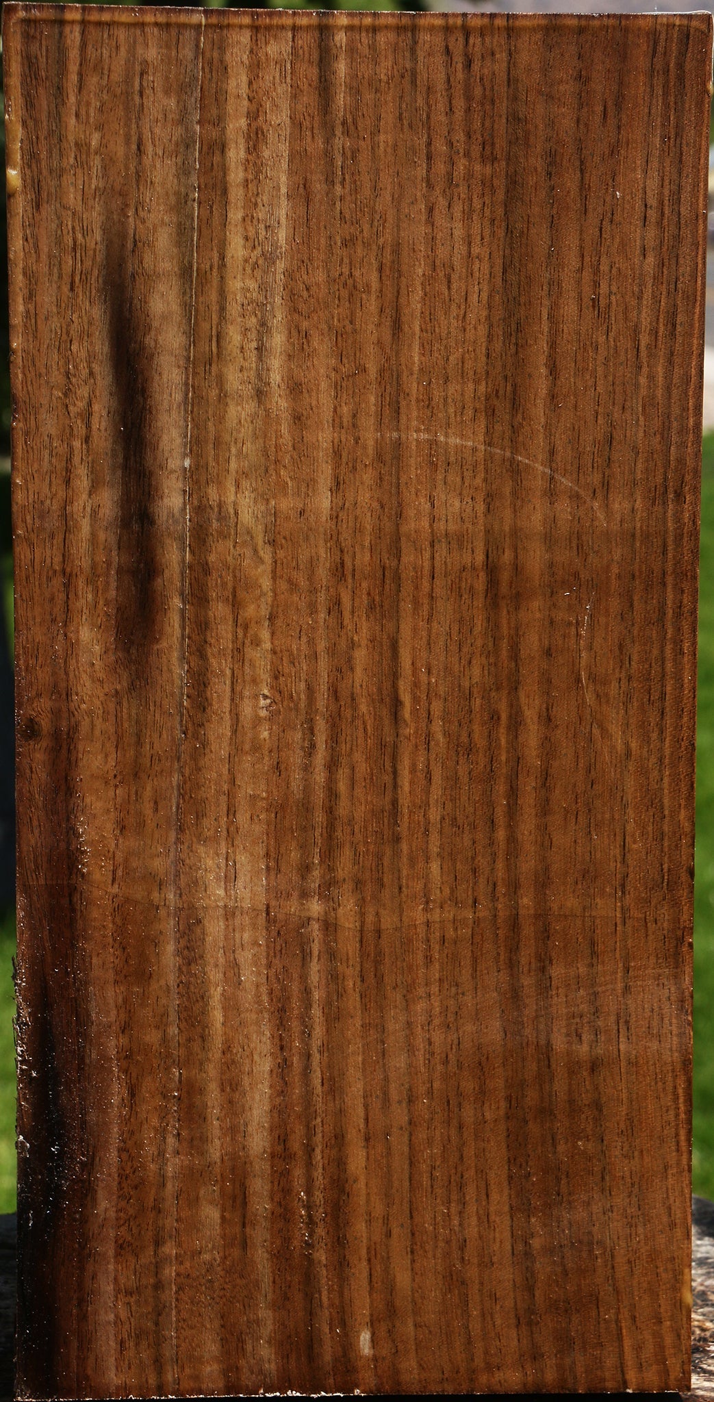 Figured Claro Walnut Vessel Blank