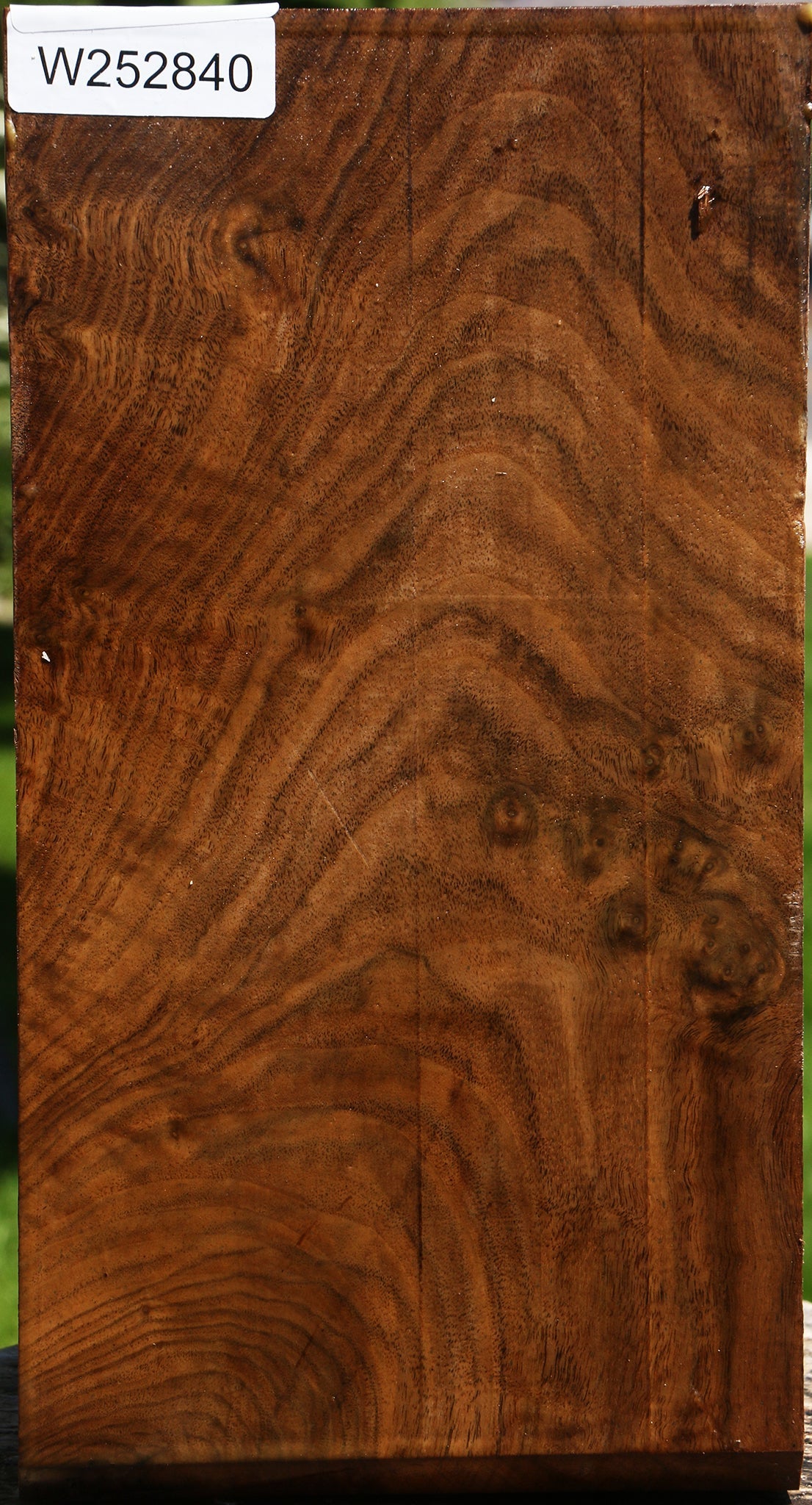 Extra Fancy Claro Walnut Vessel Blank