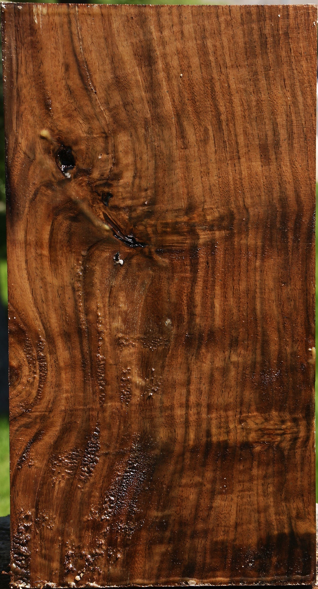 Extra Fancy Claro Walnut Vessel Blank