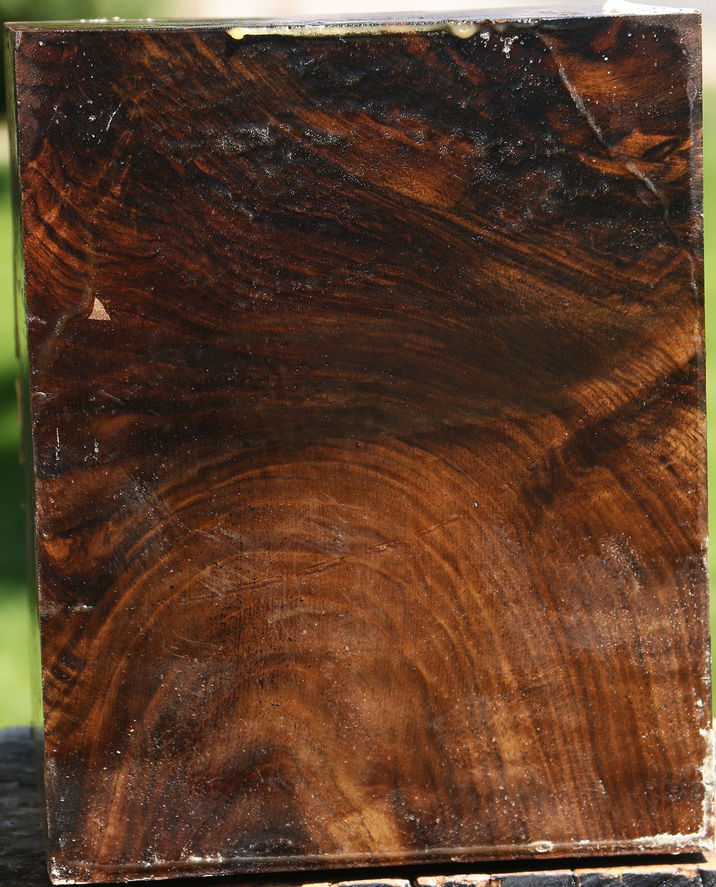 Extra Fancy Claro Walnut Vessel Blank