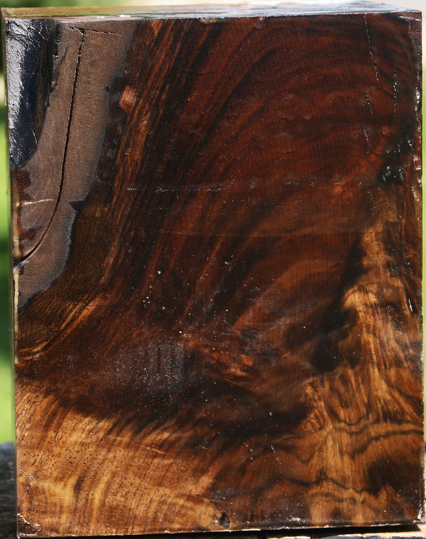 Extra Fancy Claro Walnut Vessel Blank