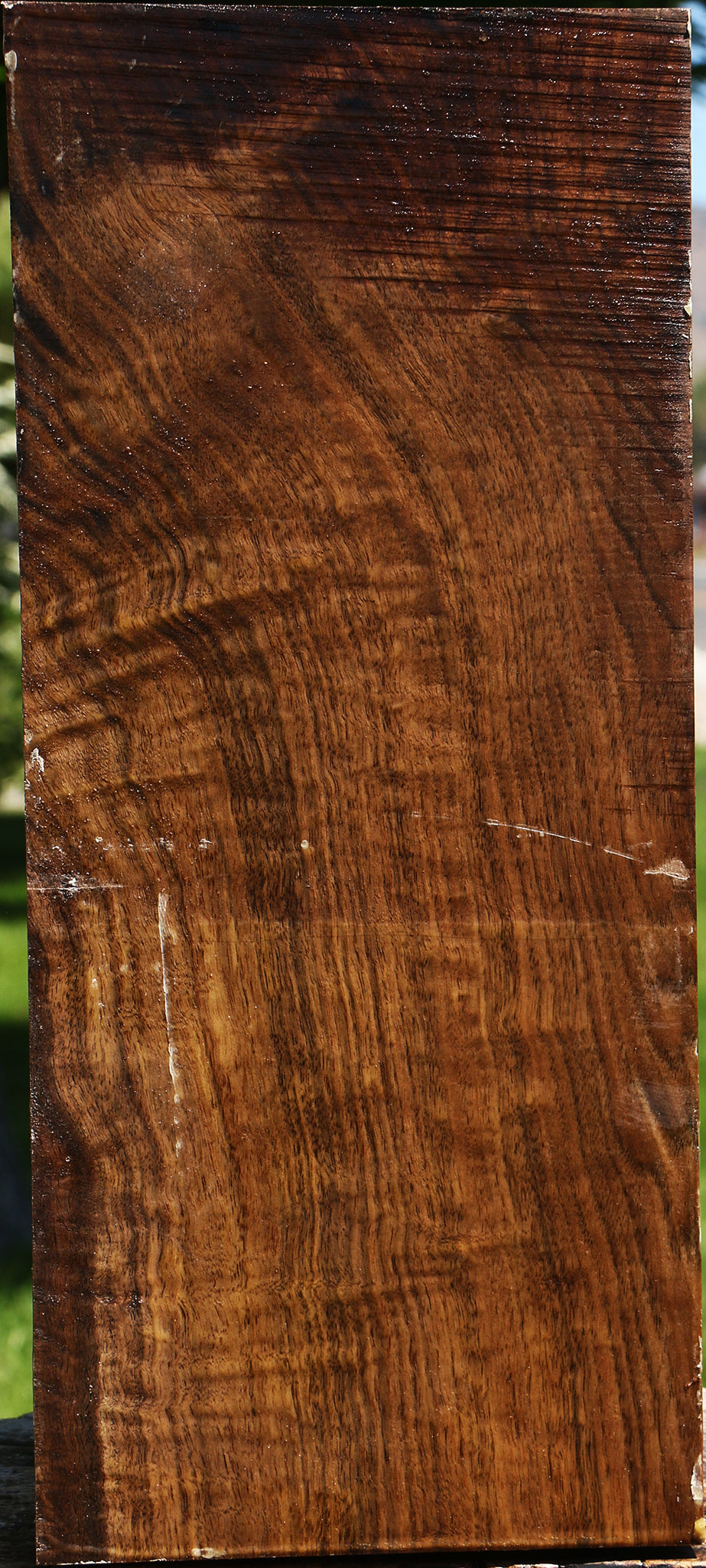 Extra Fancy Claro Walnut Vessel Blank