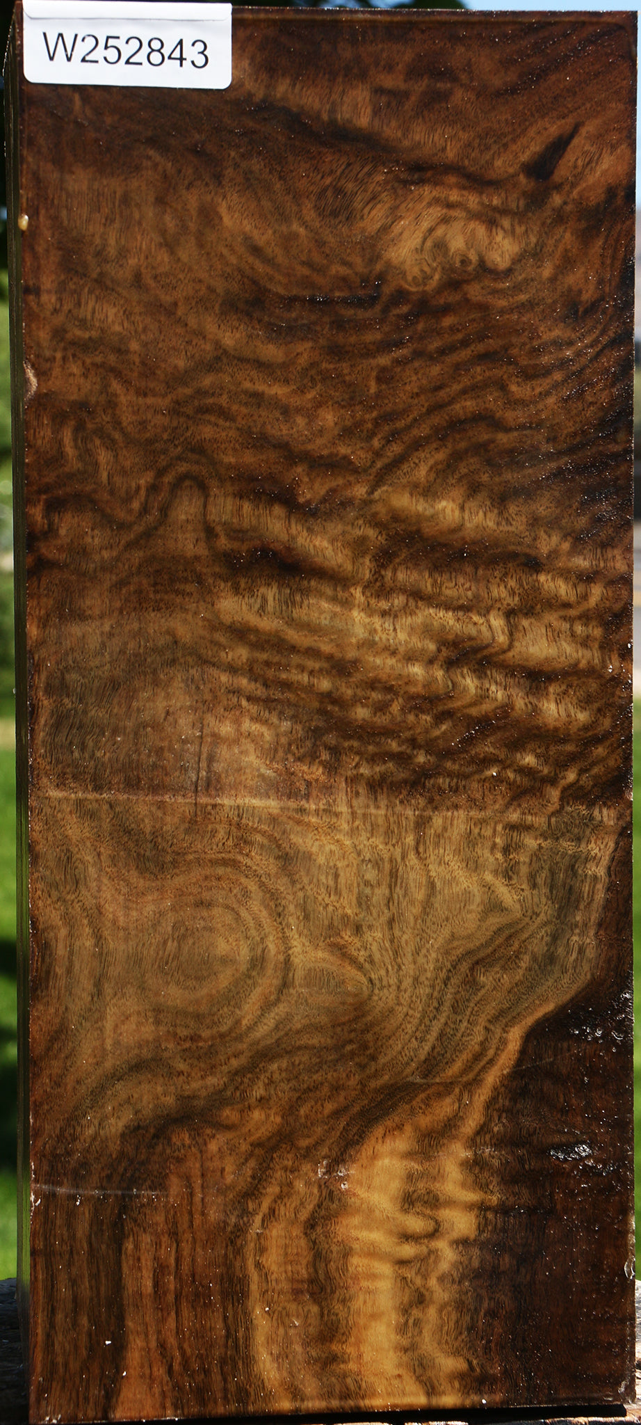 Extra Fancy Claro Walnut Vessel Blank