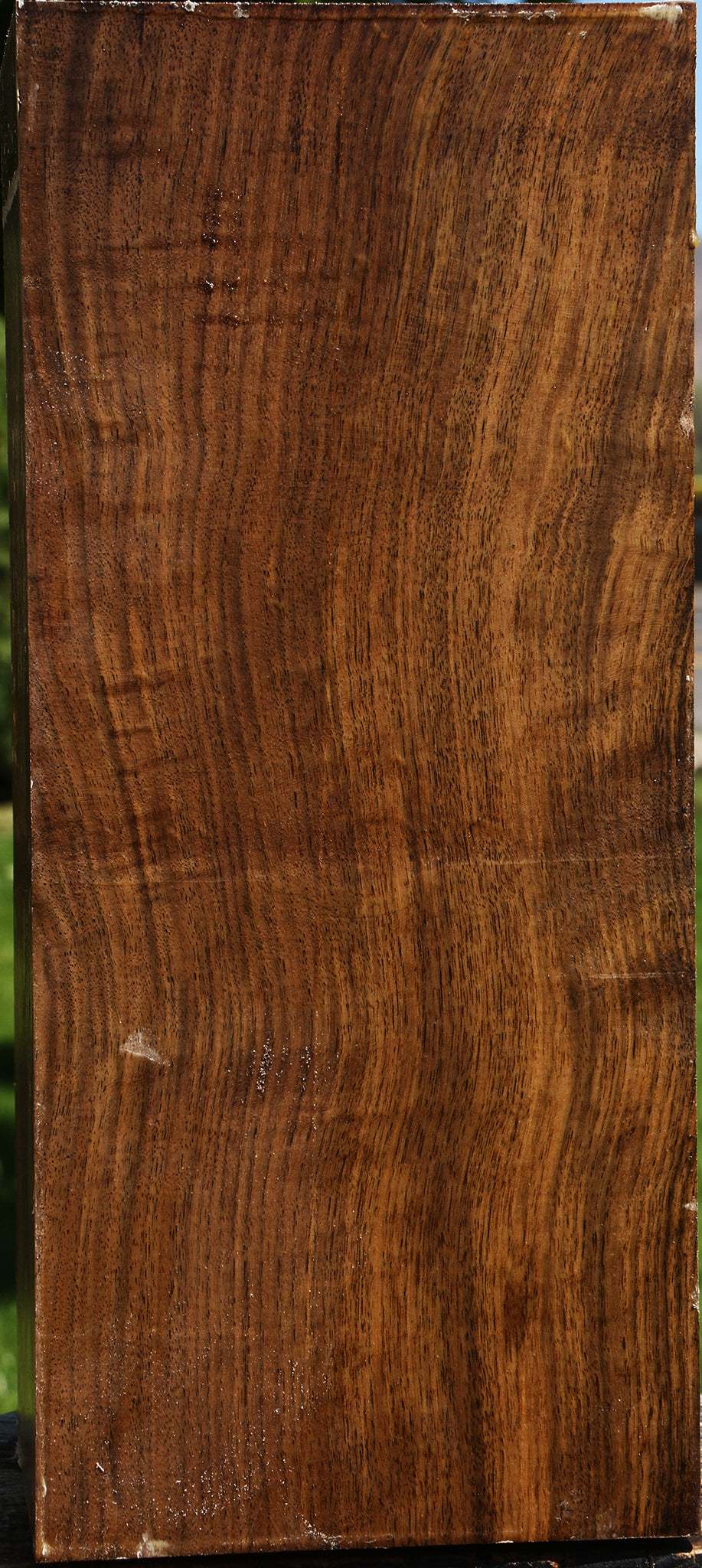 Extra Fancy Claro Walnut Vessel Blank