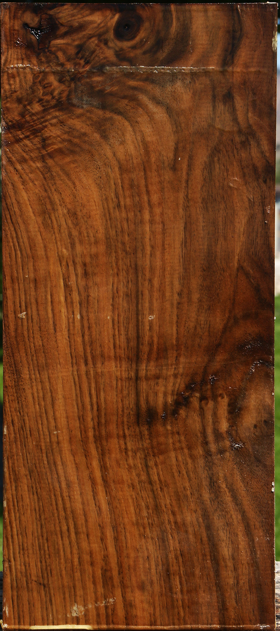 Extra Fancy Claro Walnut Vessel Blank