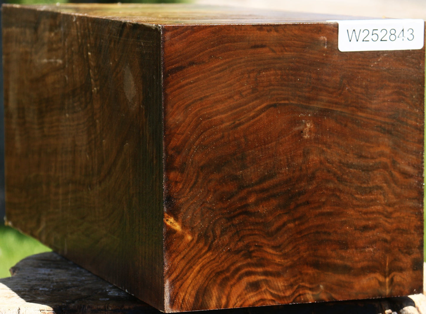 Extra Fancy Claro Walnut Vessel Blank