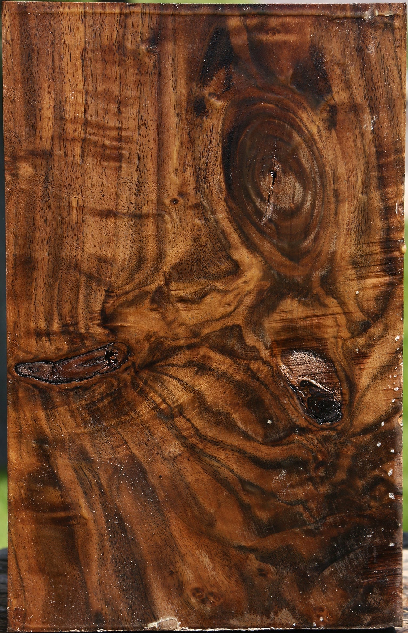 Extra Fancy Claro Walnut Vessel Blank