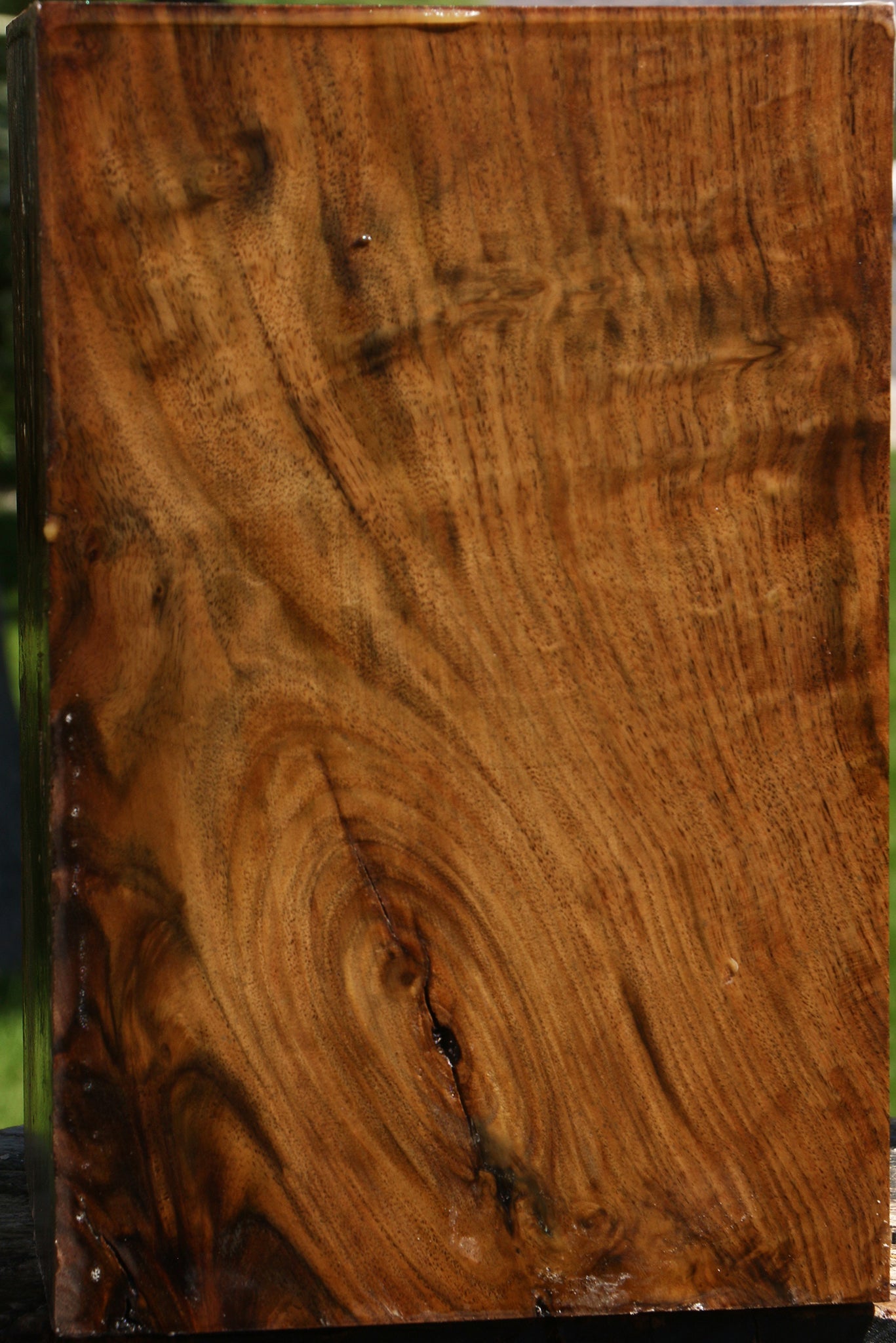 Extra Fancy Claro Walnut Vessel Blank