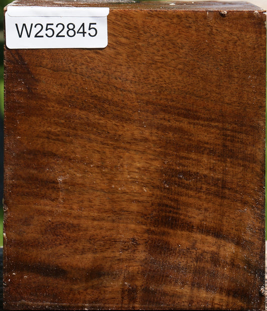 Extra Fancy Claro Walnut Vessel Blank