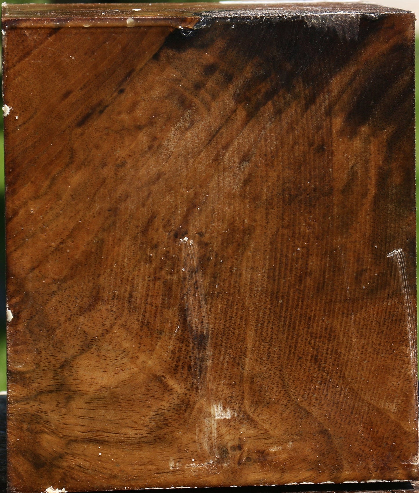 Extra Fancy Claro Walnut Vessel Blank