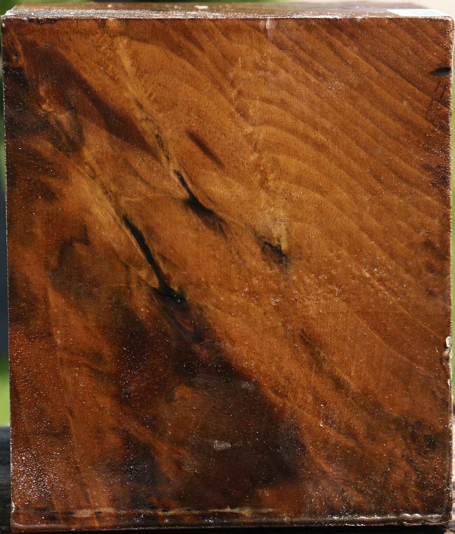 Extra Fancy Claro Walnut Vessel Blank