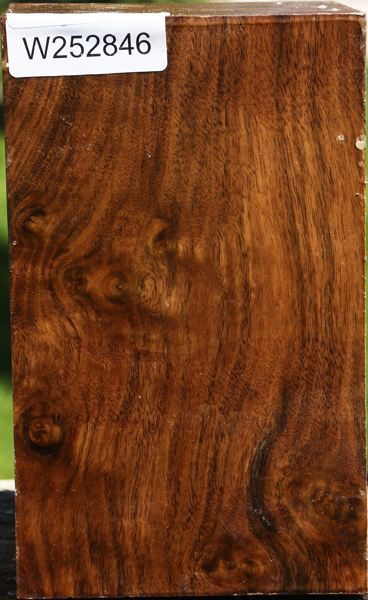 Figured Claro Walnut Vessel Blank