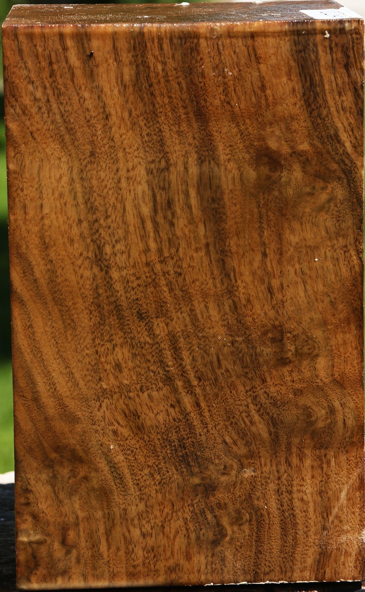 Figured Claro Walnut Vessel Blank