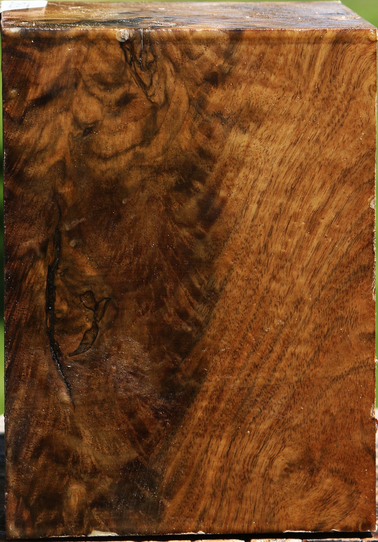 Extra Fancy Claro Walnut Vessel Blank