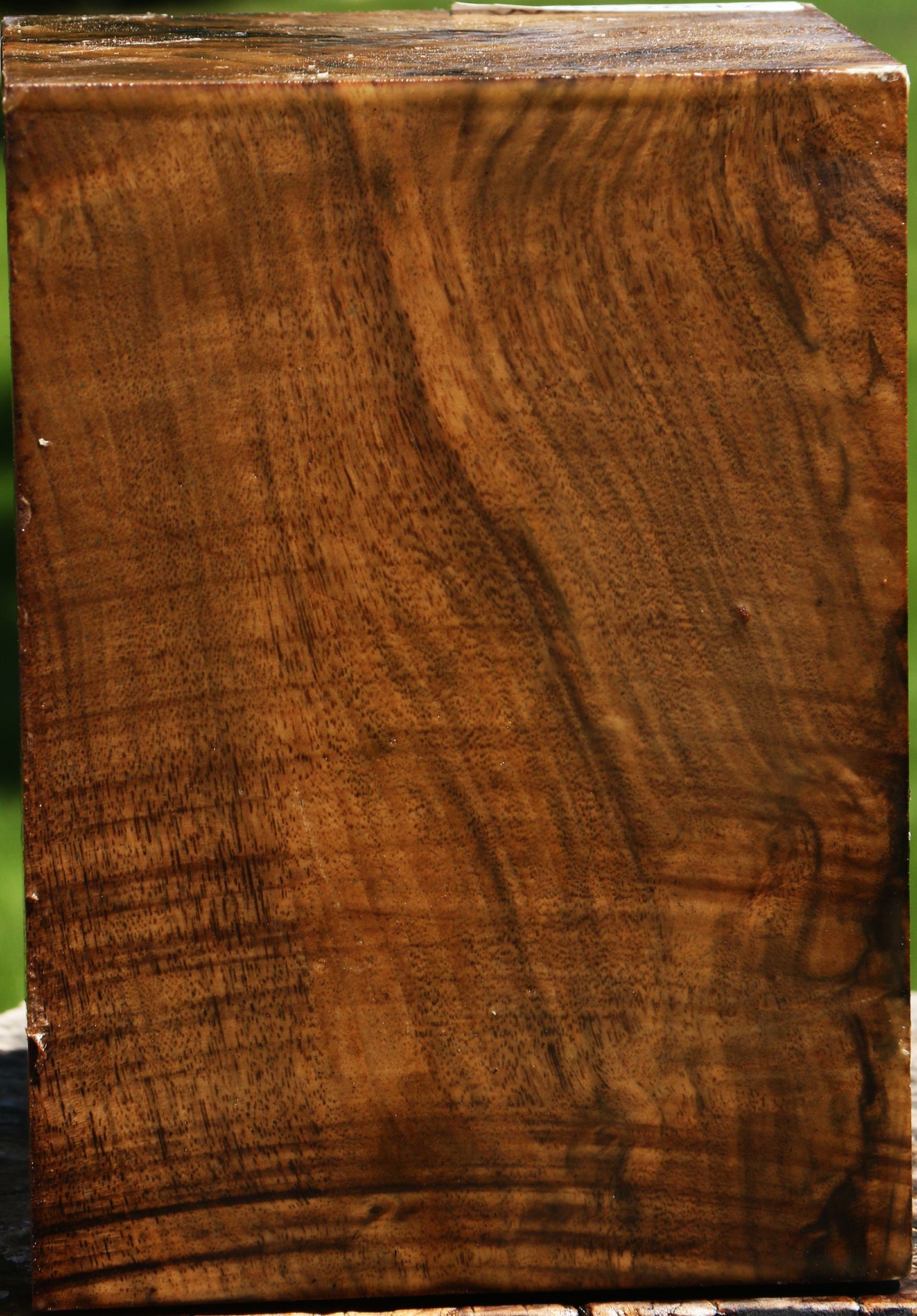 Extra Fancy Claro Walnut Vessel Blank