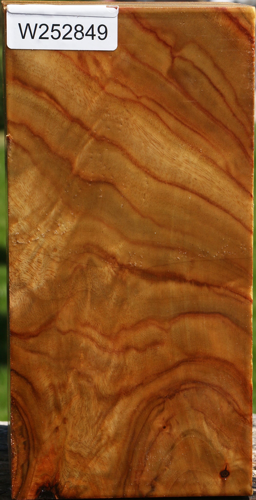 Camphor Vessel Blank