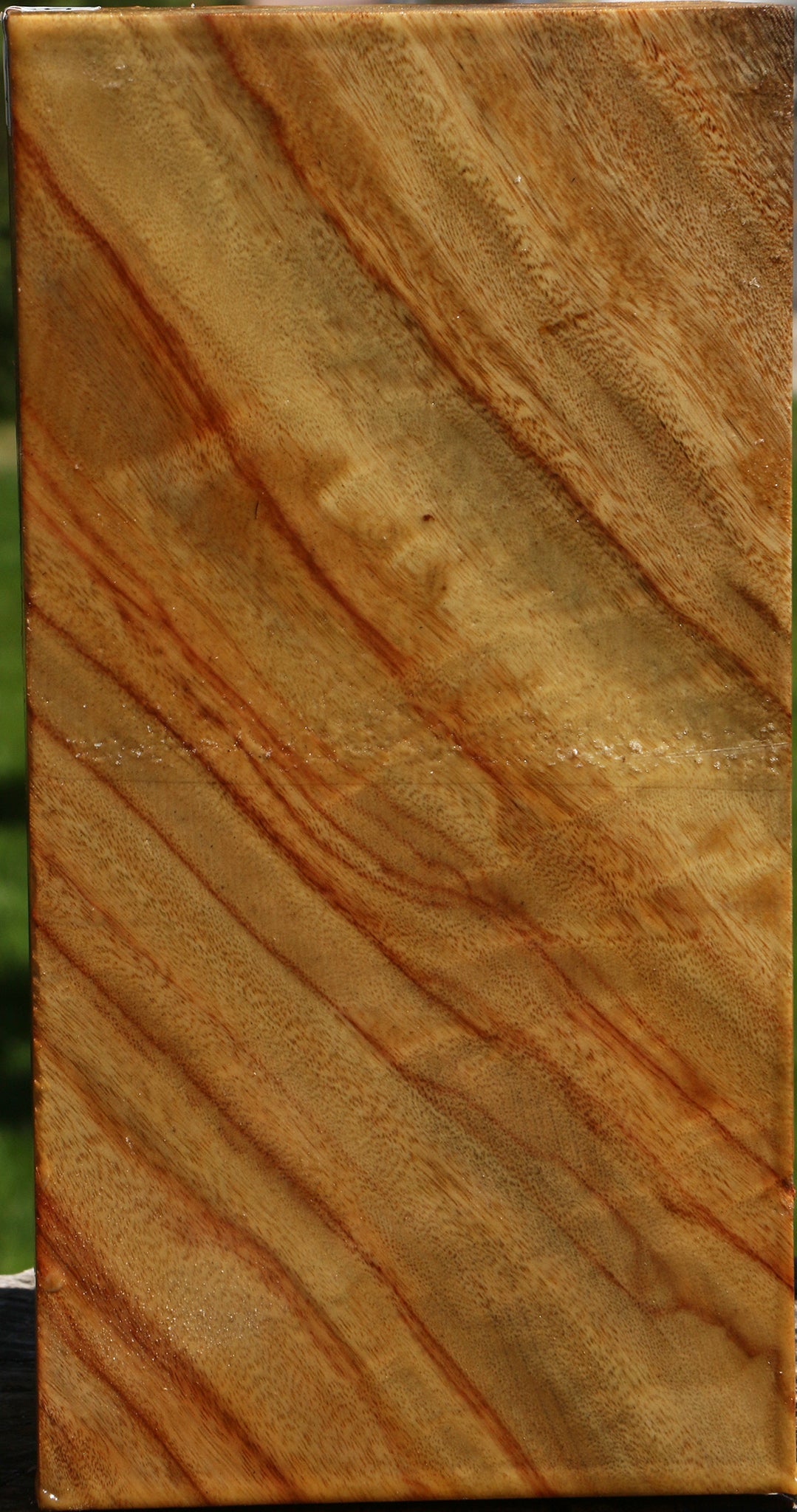 Camphor Vessel Blank