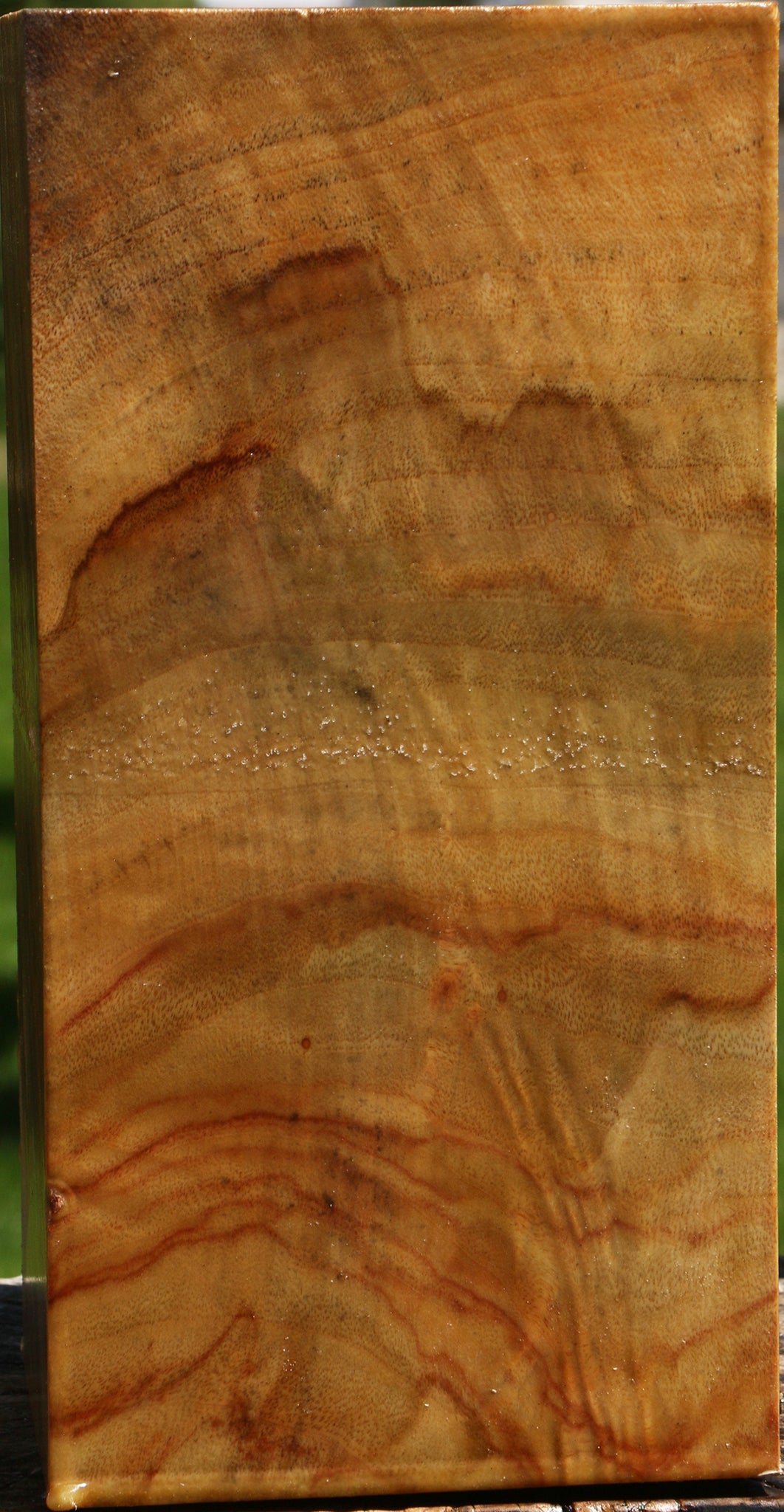 Camphor Vessel Blank