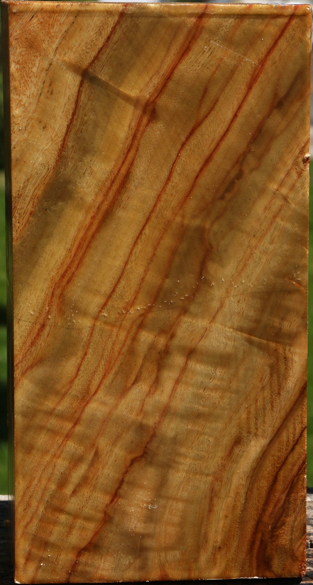 Camphor Vessel Blank