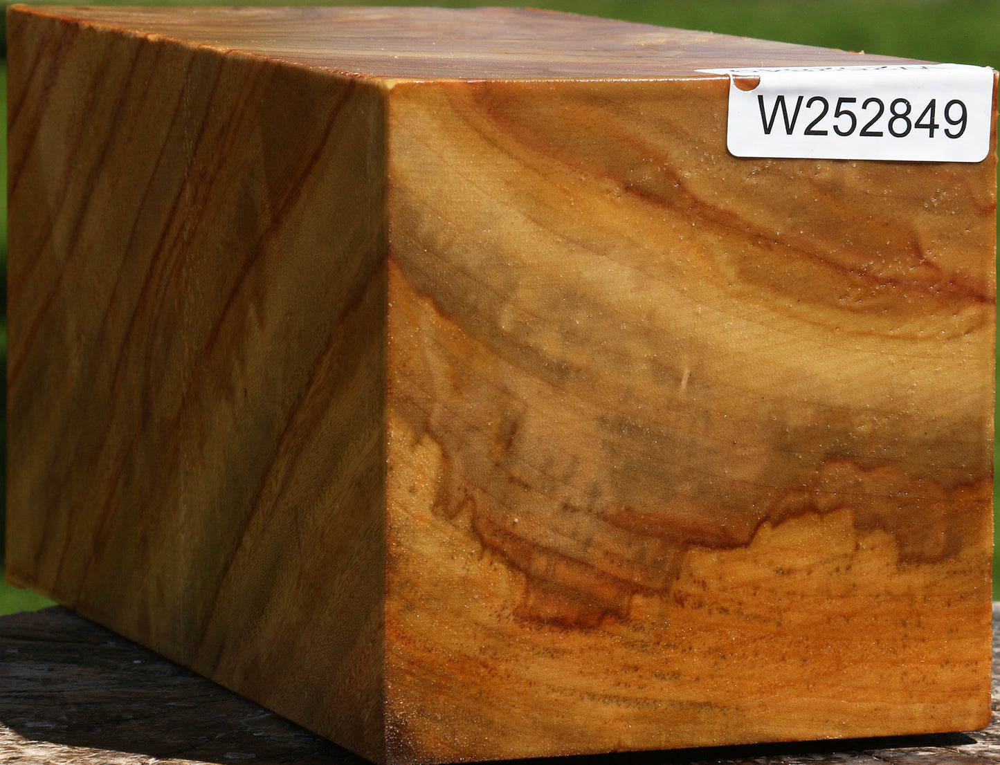 Camphor Vessel Blank