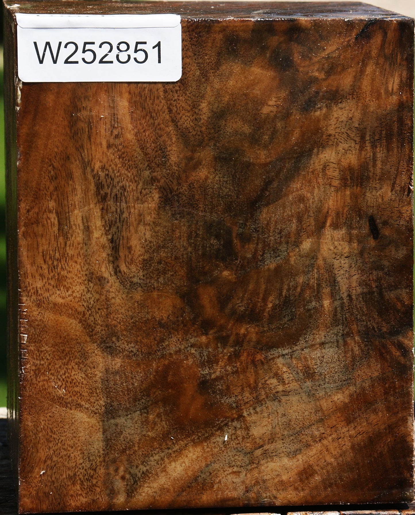 Extra Fancy Claro Walnut Vessel Blank