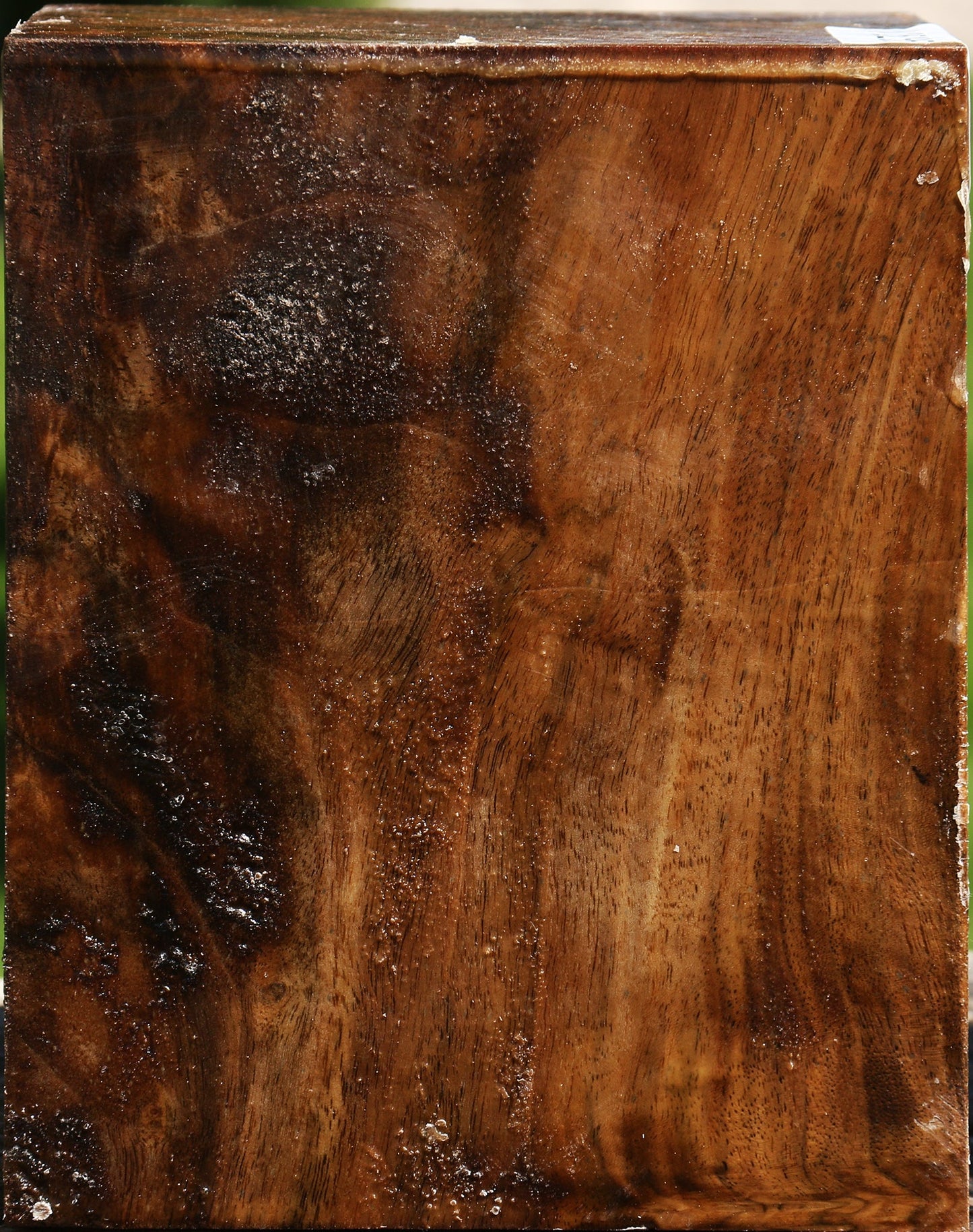 Extra Fancy Claro Walnut Vessel Blank