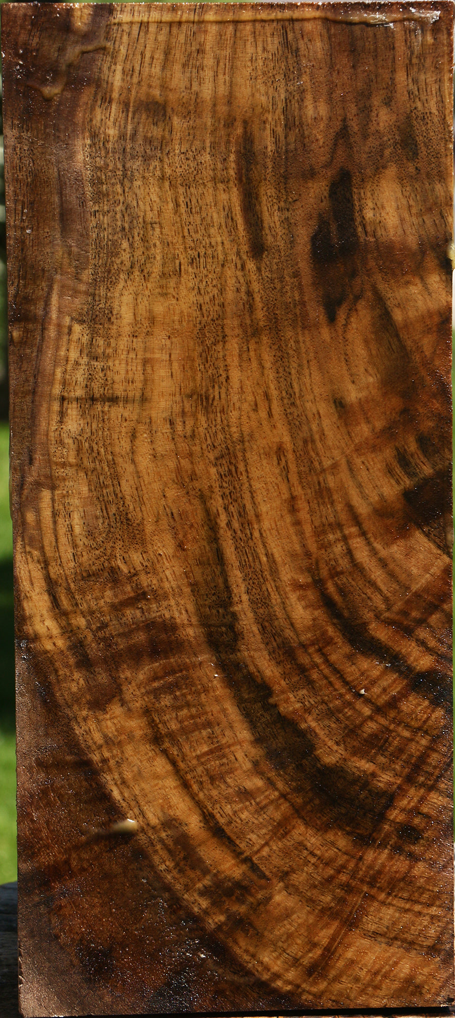 Figured Claro Walnut Vessel Blank