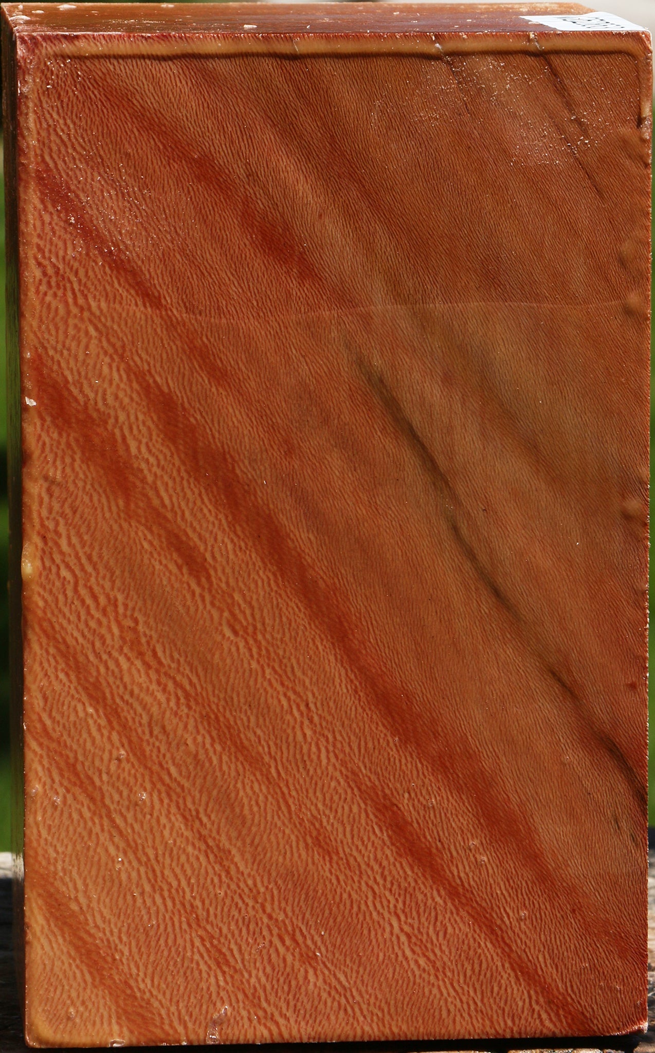 Sycamore Vessel Blank