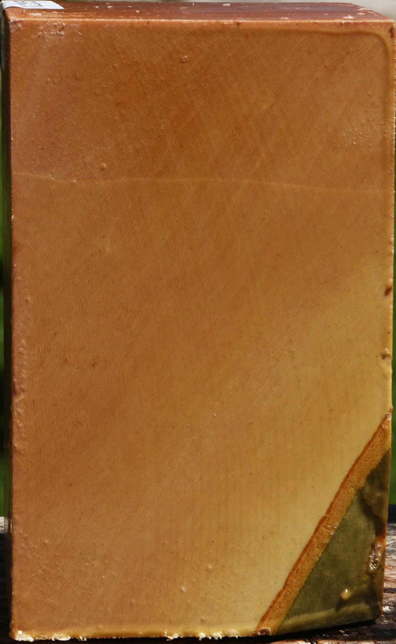 Sycamore Vessel Blank