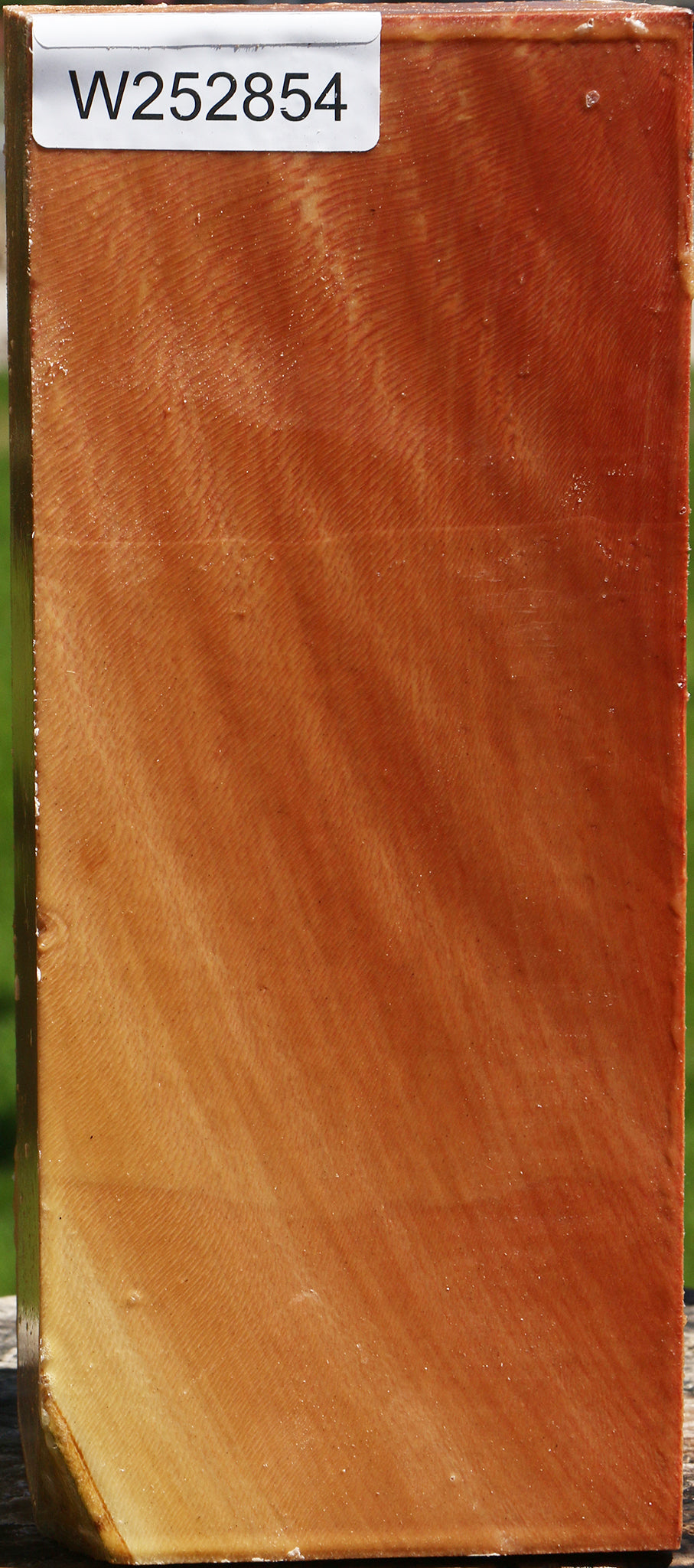 Sycamore Vessel Blank
