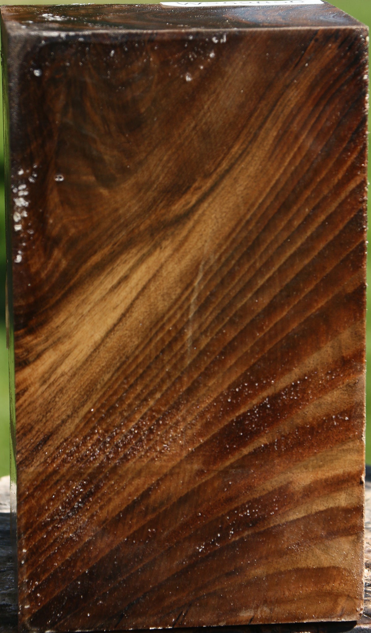 Extra Fancy Claro Walnut Vessel Blank