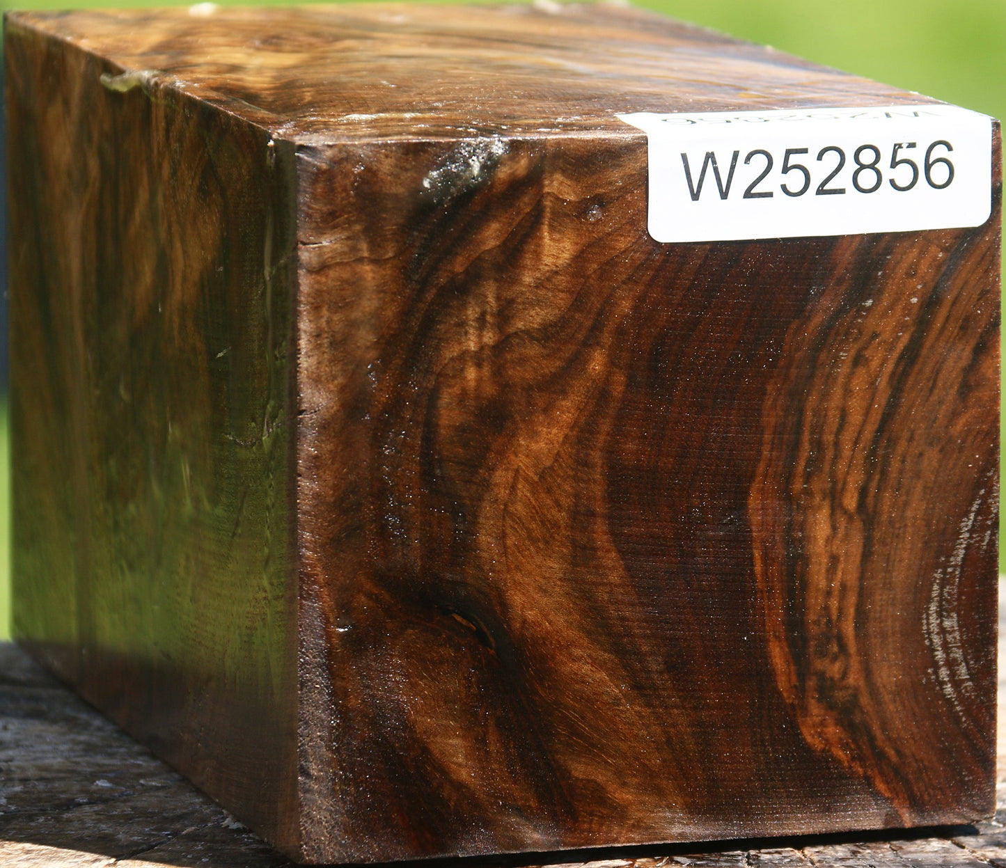 Extra Fancy Claro Walnut Vessel Blank