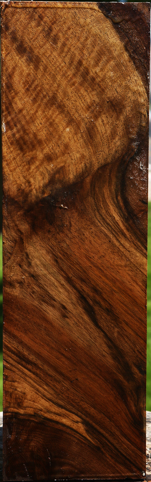 Grafted Claro Walnut Vessel Blank