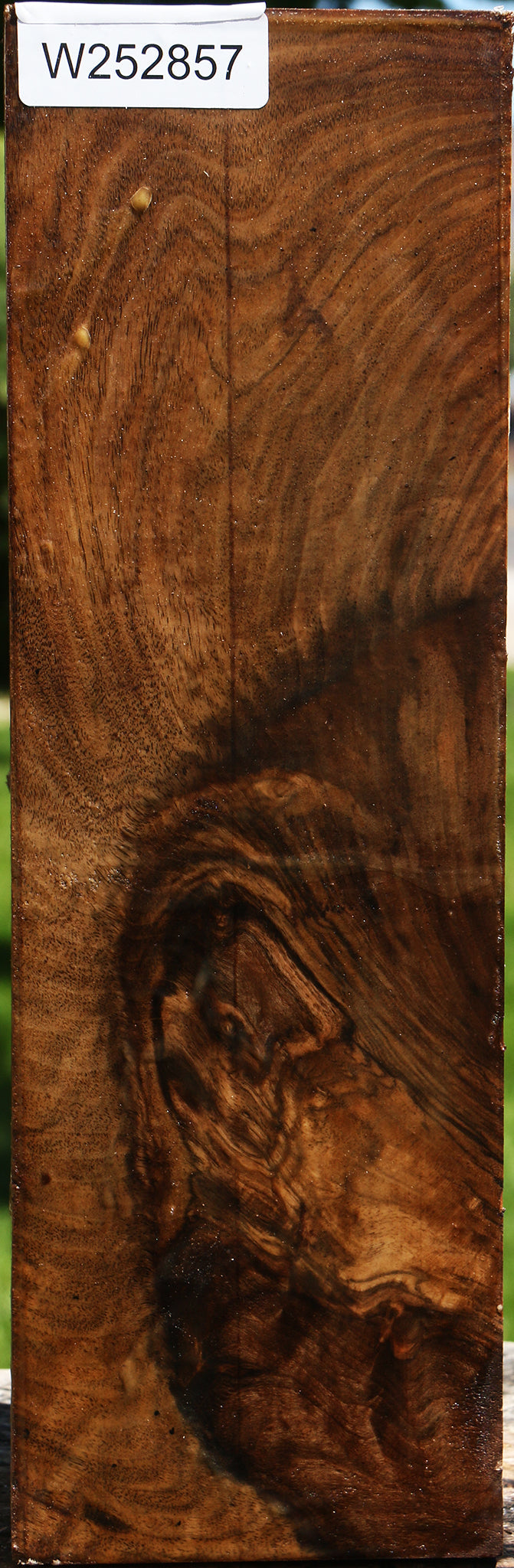 Grafted Claro Walnut Vessel Blank