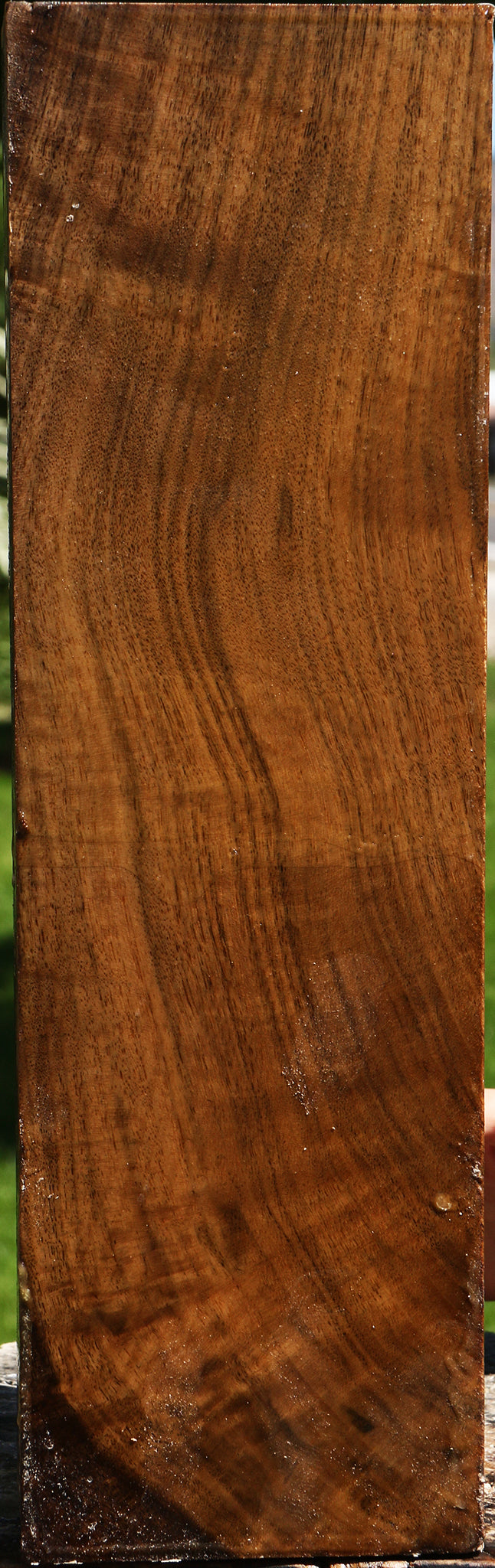 Grafted Claro Walnut Vessel Blank