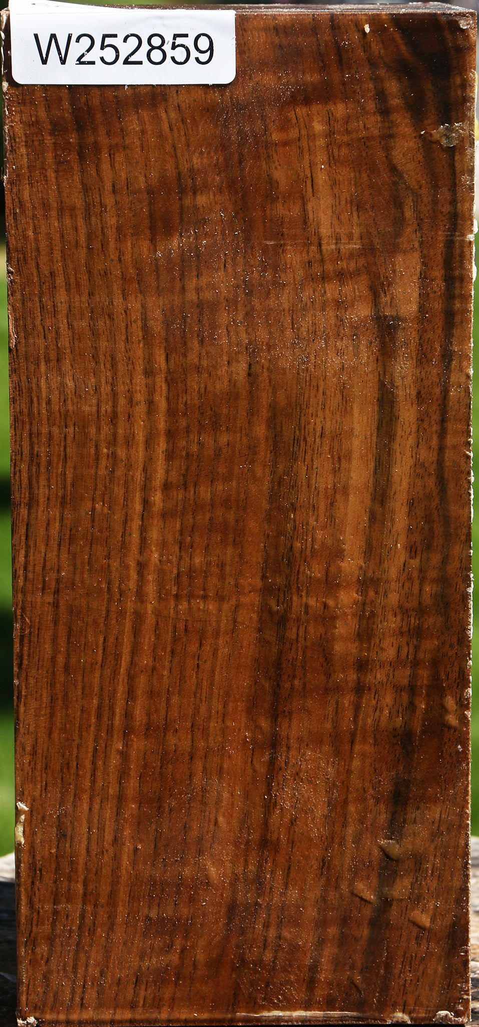 Figured Claro Walnut Vessel Blank
