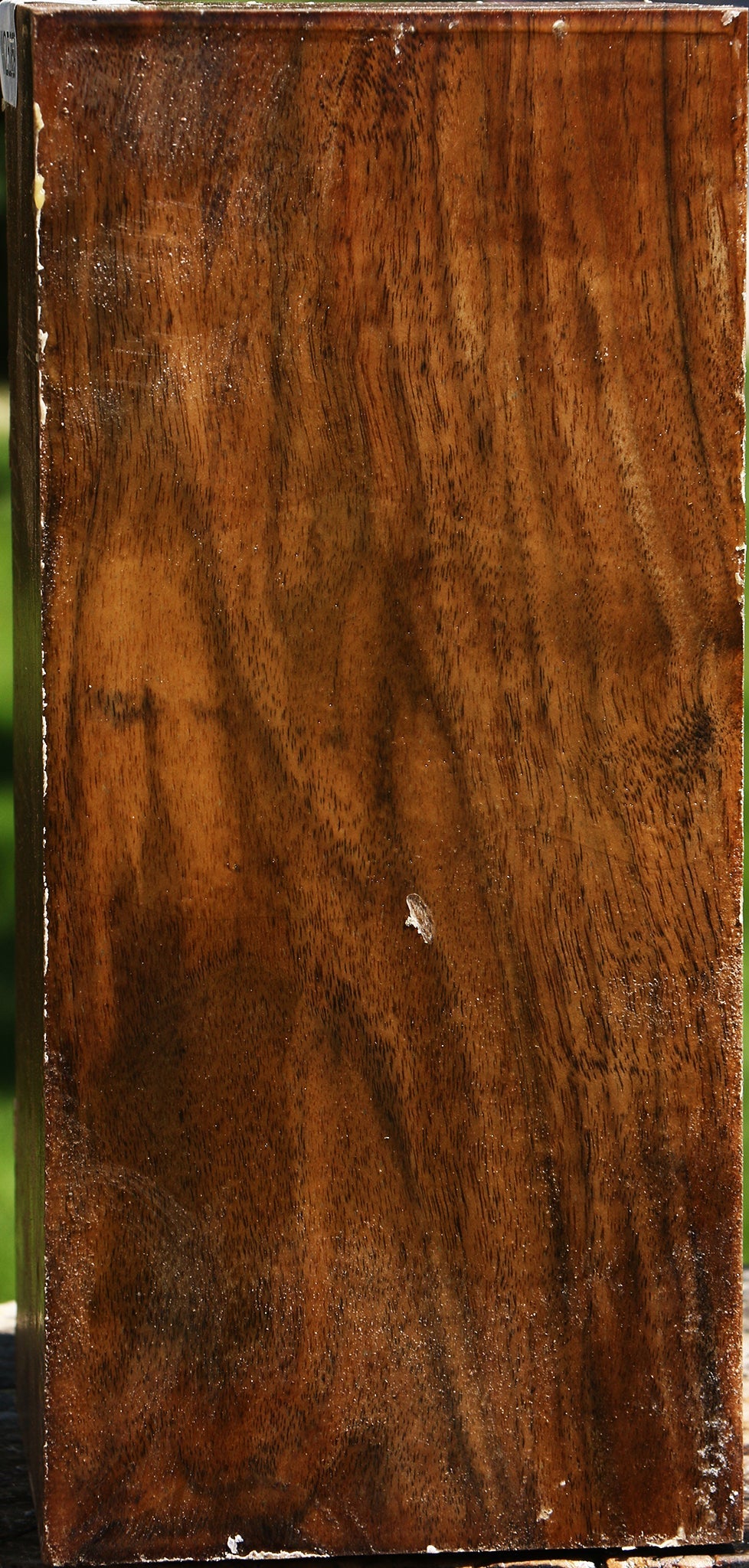 Figured Claro Walnut Vessel Blank