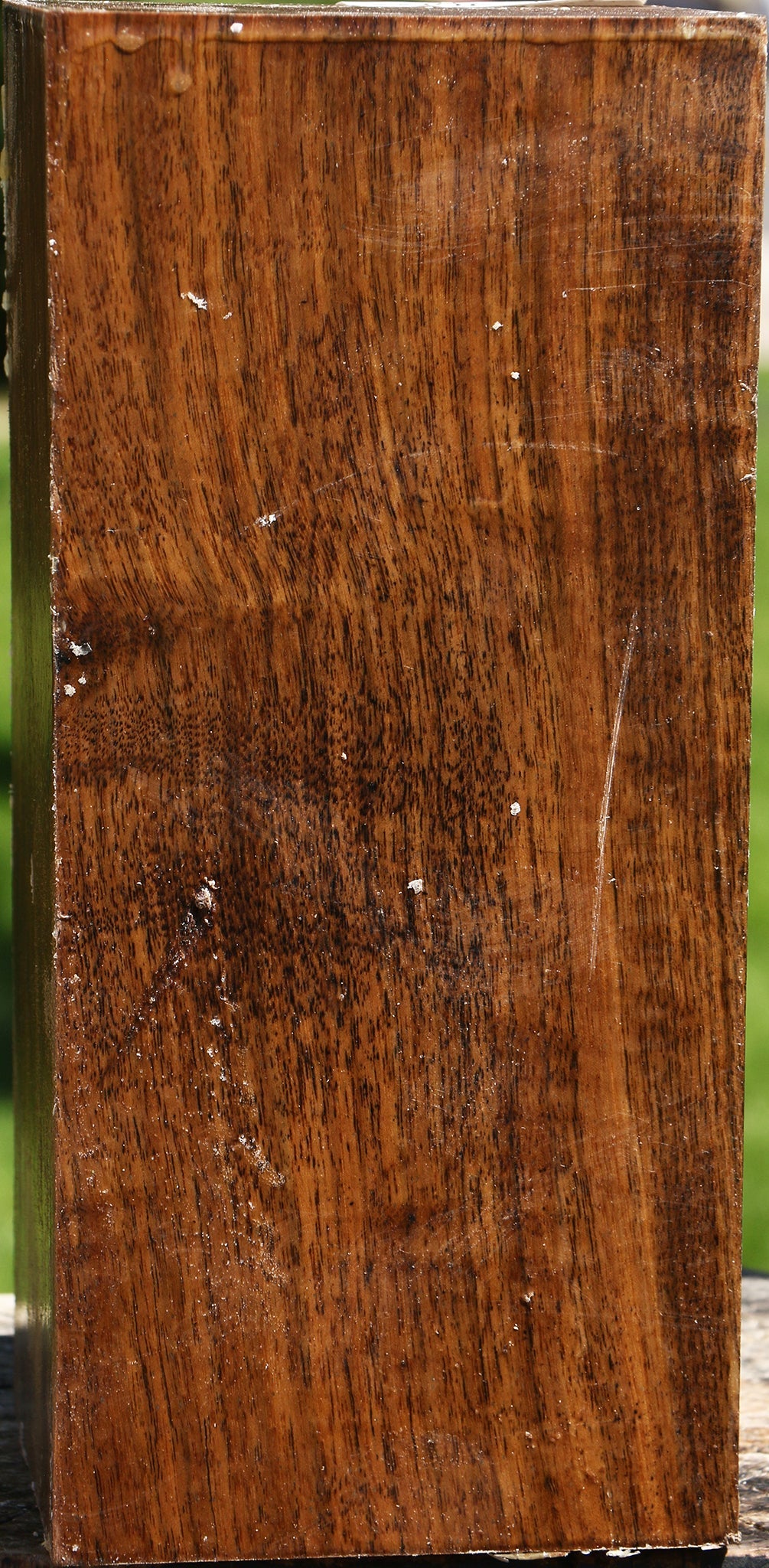 Figured Claro Walnut Vessel Blank