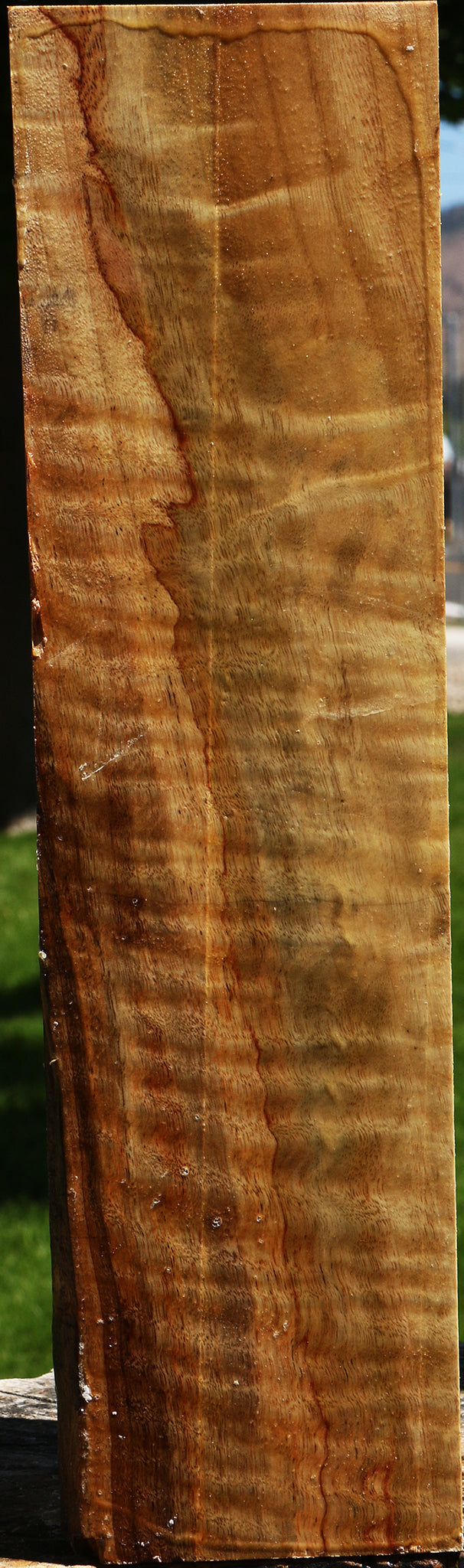 Extra Fancy Camphor Vessel Blank