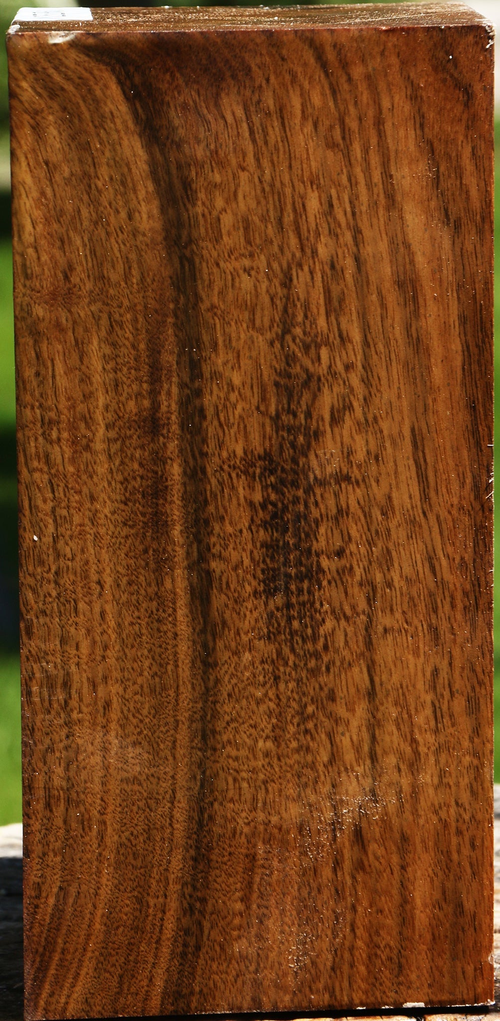Claro Walnut Vessel Blank