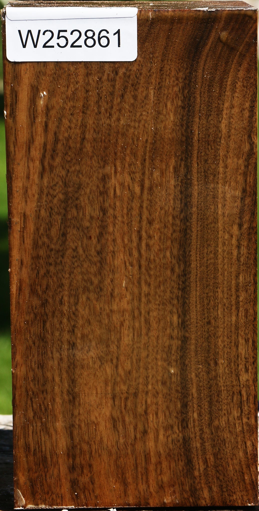 Claro Walnut Vessel Blank
