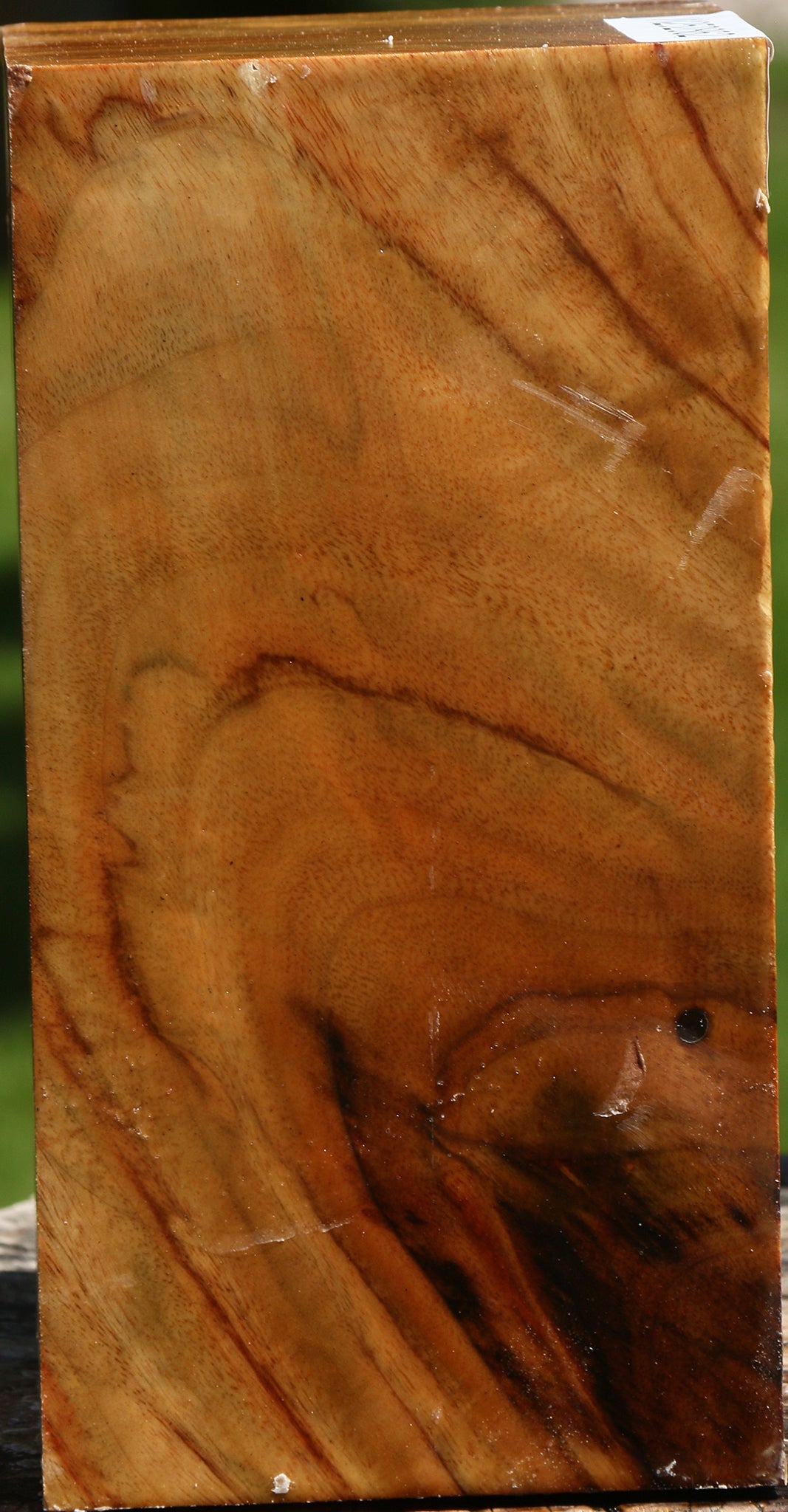 Figured Camphor Vessel Blank