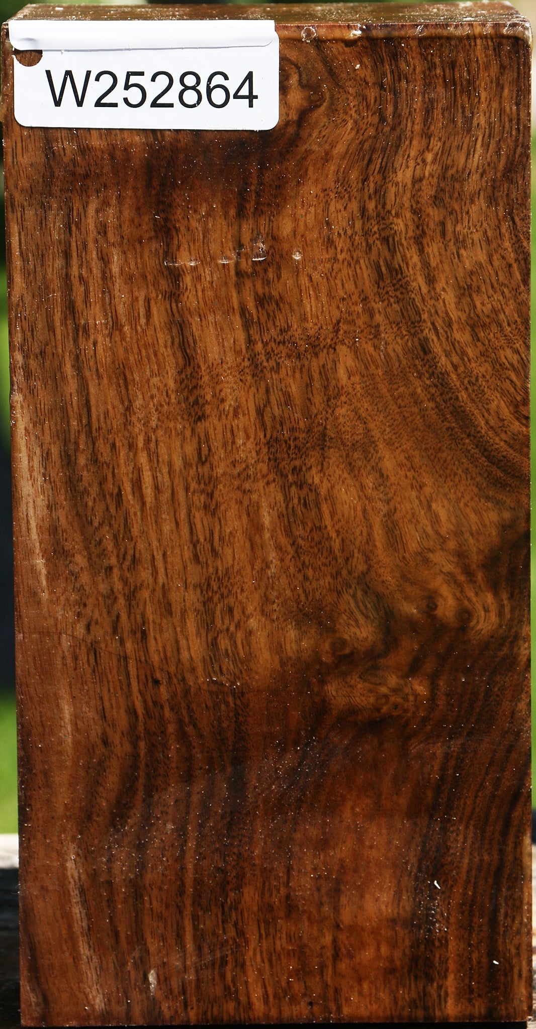 Claro Walnut Vessel Blank