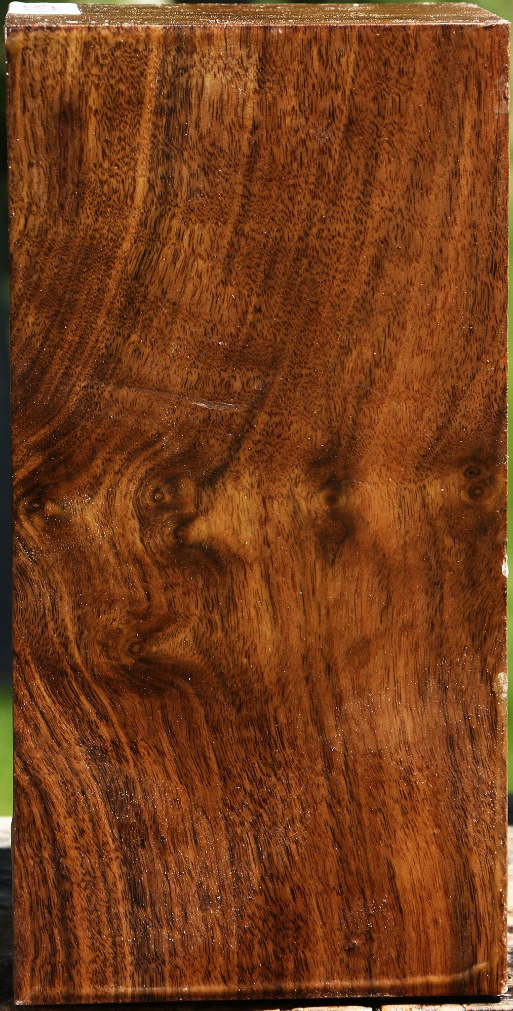 Claro Walnut Vessel Blank